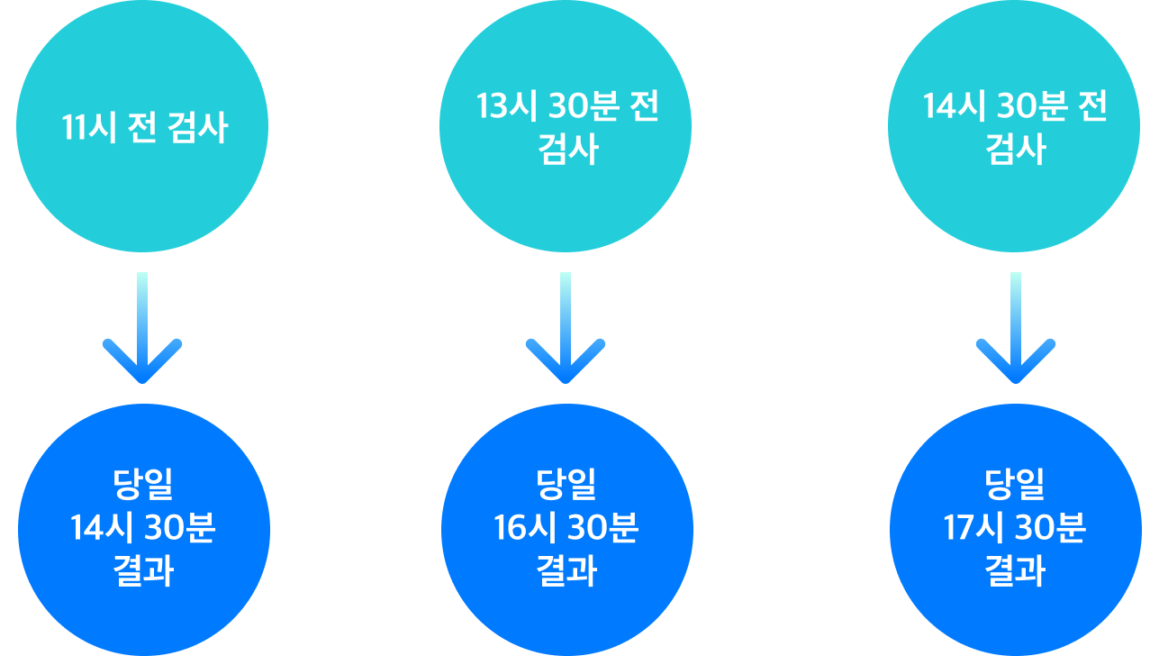 검사